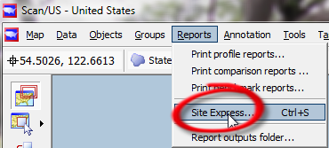 Choose Site Express... from the Reports menu